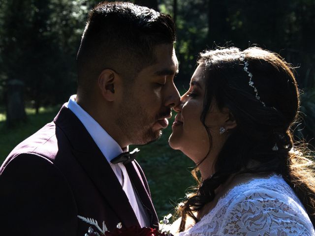 La boda de Daniel y Vanessa en Tlalpan, Ciudad de México 222