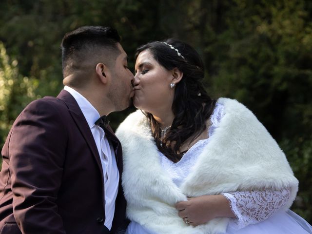 La boda de Daniel y Vanessa en Tlalpan, Ciudad de México 228
