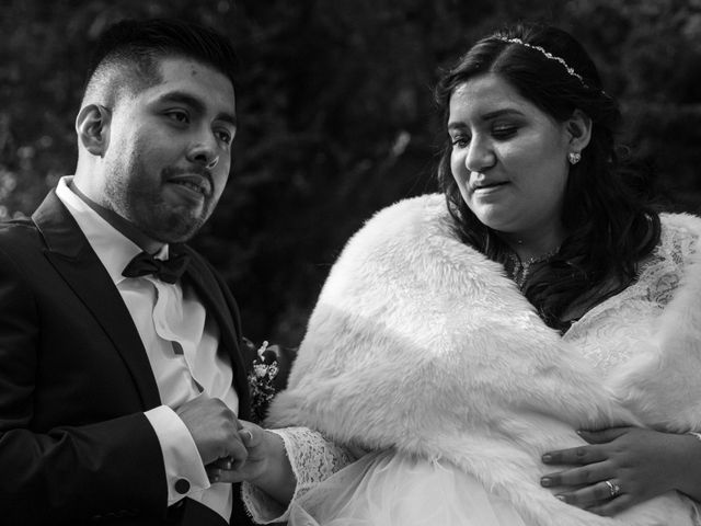 La boda de Daniel y Vanessa en Tlalpan, Ciudad de México 232