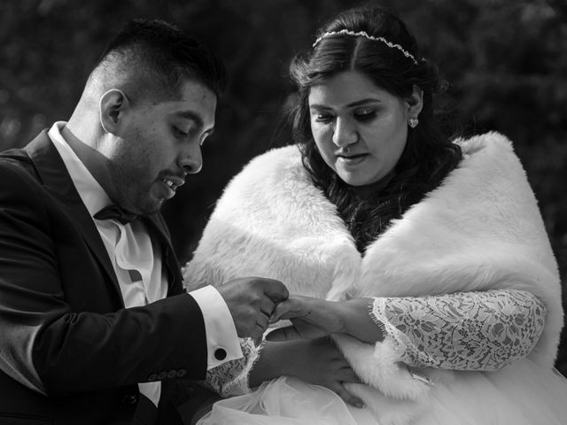 La boda de Daniel y Vanessa en Tlalpan, Ciudad de México 233