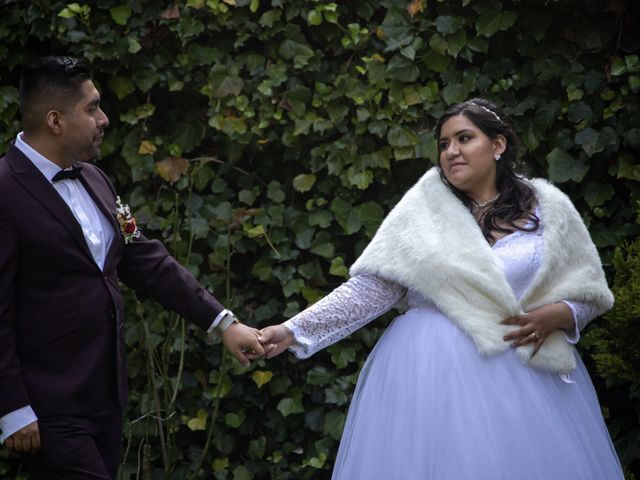 La boda de Daniel y Vanessa en Tlalpan, Ciudad de México 242