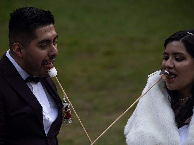 La boda de Daniel y Vanessa en Tlalpan, Ciudad de México 263