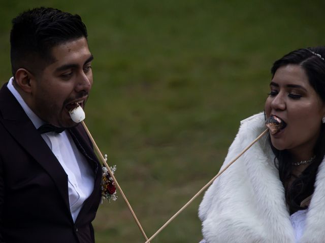 La boda de Daniel y Vanessa en Tlalpan, Ciudad de México 264