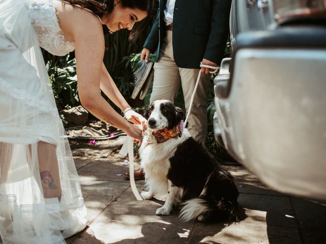 La boda de Luis y Ceci en Coyoacán, Ciudad de México 1