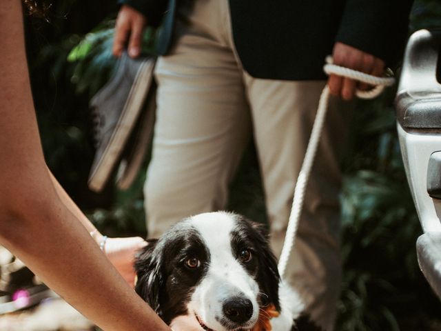 La boda de Luis y Ceci en Coyoacán, Ciudad de México 11