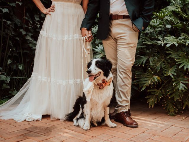 La boda de Luis y Ceci en Coyoacán, Ciudad de México 2