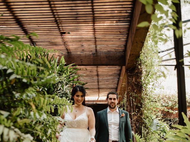 La boda de Luis y Ceci en Coyoacán, Ciudad de México 14