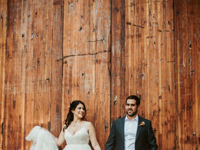 La boda de Luis y Ceci en Coyoacán, Ciudad de México 16