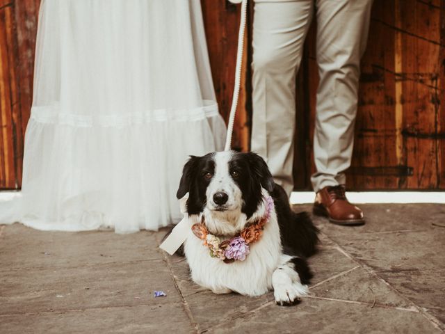 La boda de Luis y Ceci en Coyoacán, Ciudad de México 17