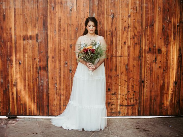 La boda de Luis y Ceci en Coyoacán, Ciudad de México 20