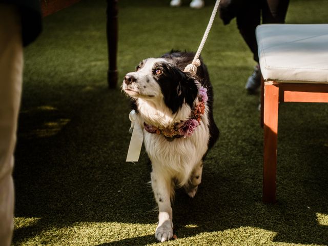 La boda de Luis y Ceci en Coyoacán, Ciudad de México 37