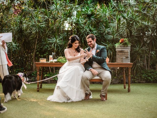 La boda de Luis y Ceci en Coyoacán, Ciudad de México 53