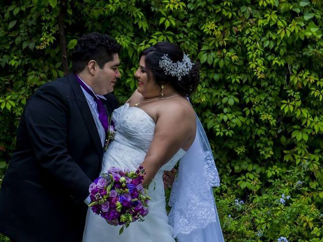 La boda de Carlos y Liliana en Aguascalientes, Aguascalientes 3