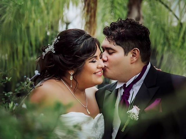 La boda de Carlos y Liliana en Aguascalientes, Aguascalientes 5
