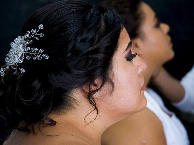 La boda de Carlos y Liliana en Aguascalientes, Aguascalientes 13