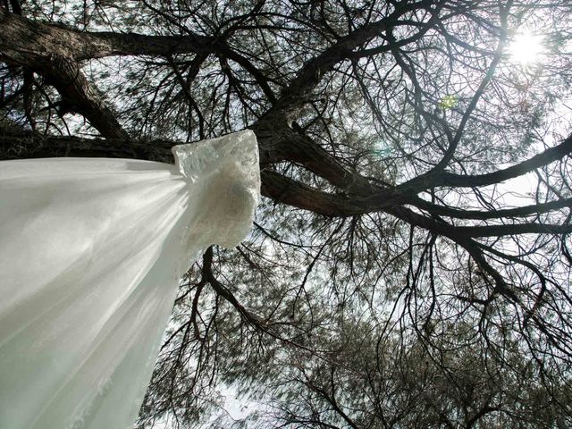 La boda de Edmar y Angélica en Huasca de Ocampo, Hidalgo 18