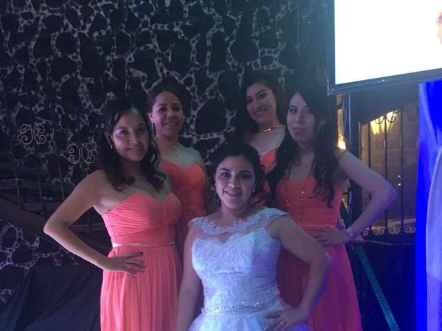 La boda de Ricardo y Jacqueline en Xochimilco, Ciudad de México 6