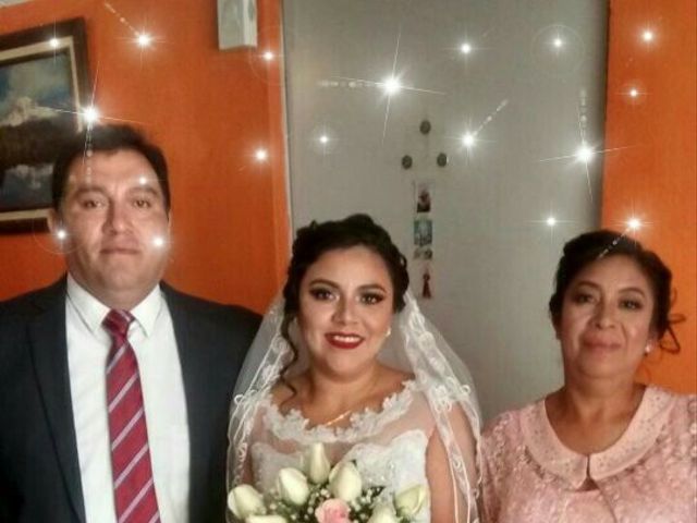 La boda de Ricardo y Jacqueline en Xochimilco, Ciudad de México 13