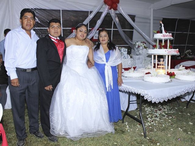 La boda de Benjamín y Sheila  en Tlalnepantla, Morelos 18