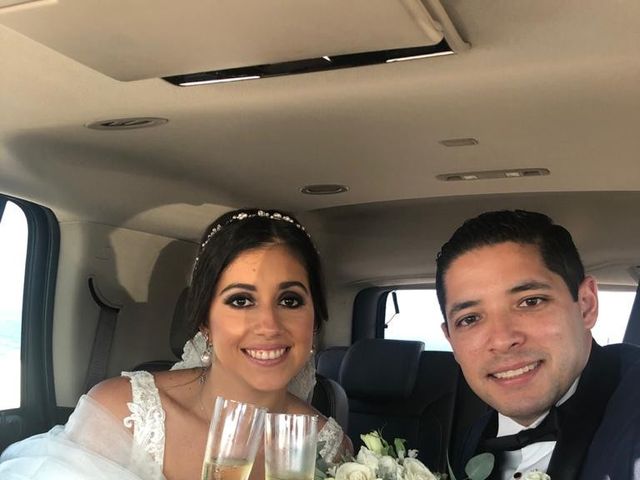 La boda de Alexie  y Luis Antonio en Medellín, Veracruz 6