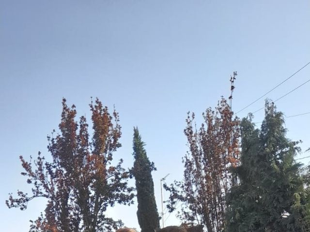 La boda de Román  y Brenda en Toluca, Estado México 21