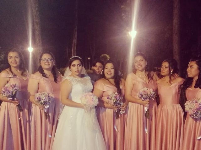 La boda de Mauricio y Ingrid en Coyoacán, Ciudad de México 4