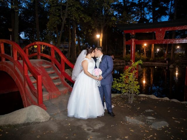 La boda de Mauricio y Ingrid en Coyoacán, Ciudad de México 2