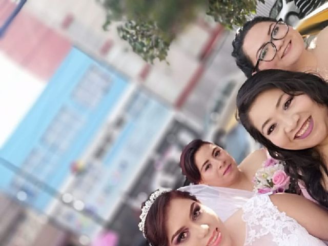 La boda de Mauricio y Ingrid en Coyoacán, Ciudad de México 8