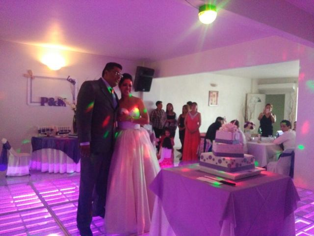 La boda de Marcos y Patricia en Tlalpan, Ciudad de México 1