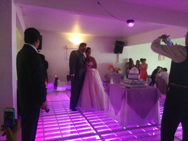 La boda de Marcos y Patricia en Tlalpan, Ciudad de México 2