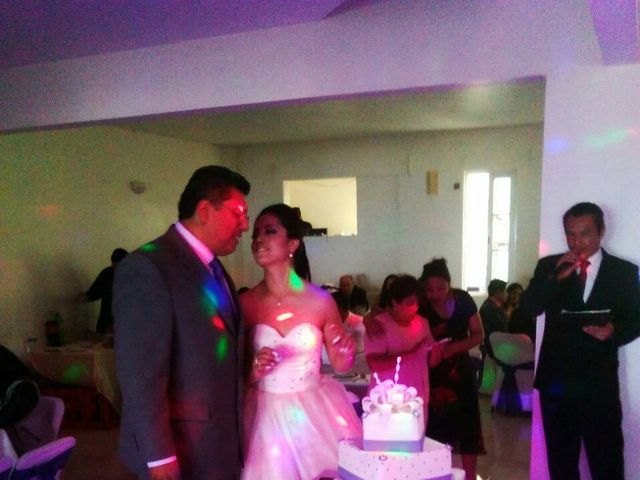 La boda de Marcos y Patricia en Tlalpan, Ciudad de México 3