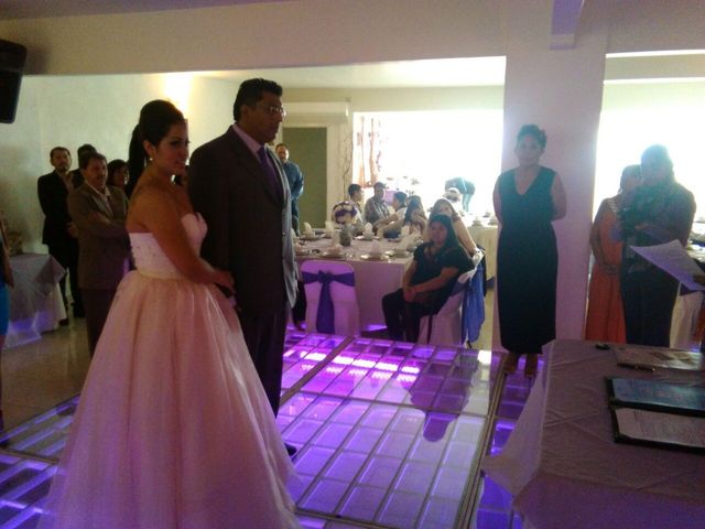 La boda de Marcos y Patricia en Tlalpan, Ciudad de México 6