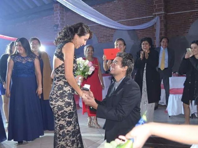 La boda de Mariana y Luis Antonio en San José Iturbide, Guanajuato 19