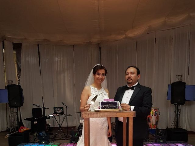 La boda de Francisco Ramón y Laura en Tlalpan, Ciudad de México 6