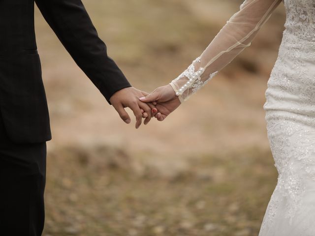 La boda de Luis Ángel y Karina  en Silao, Guanajuato 237