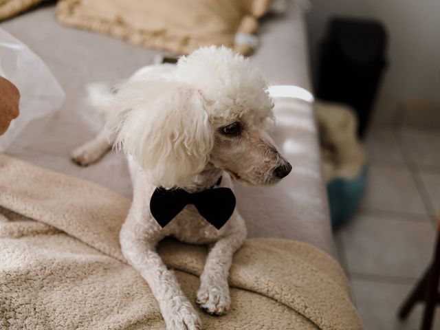 La boda de Raxel y Abril en Chihuahua, Chihuahua 16