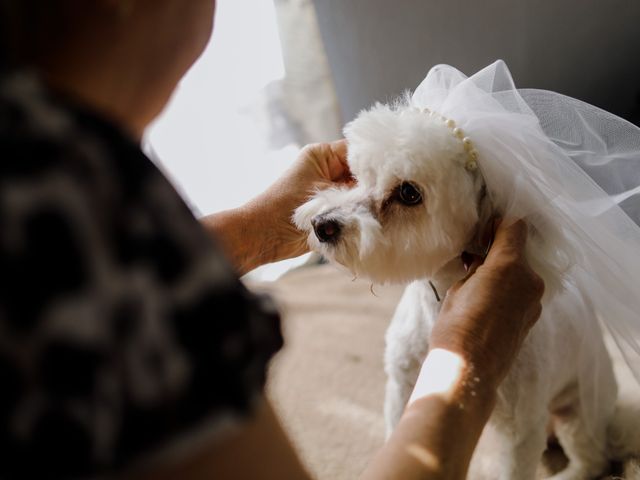 La boda de Raxel y Abril en Chihuahua, Chihuahua 17