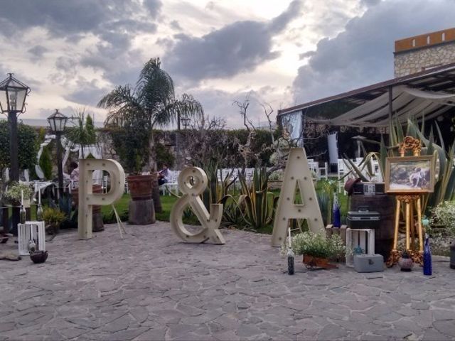 La boda de Arturo y Pedro en Puebla, Puebla 16