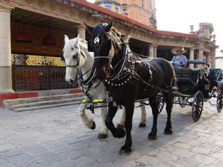 La boda de Belem y Santiago 2