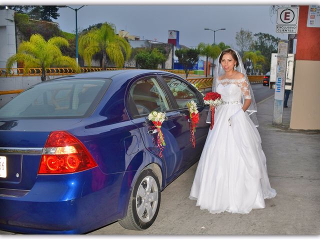 La boda de Julio  y Helena en Xalapa, Veracruz 5