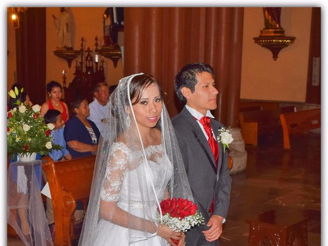 La boda de Julio  y Helena en Xalapa, Veracruz 11