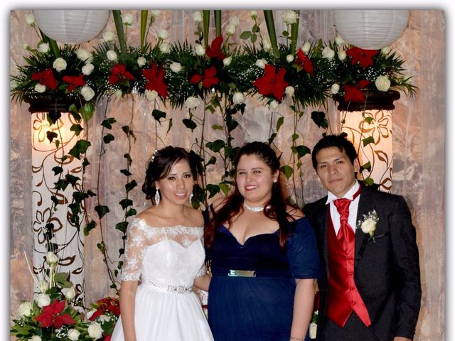La boda de Julio  y Helena en Xalapa, Veracruz 63