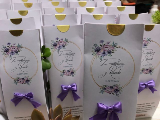 La boda de Ricardo  y Dominique  en Naucalpan, Estado México 3