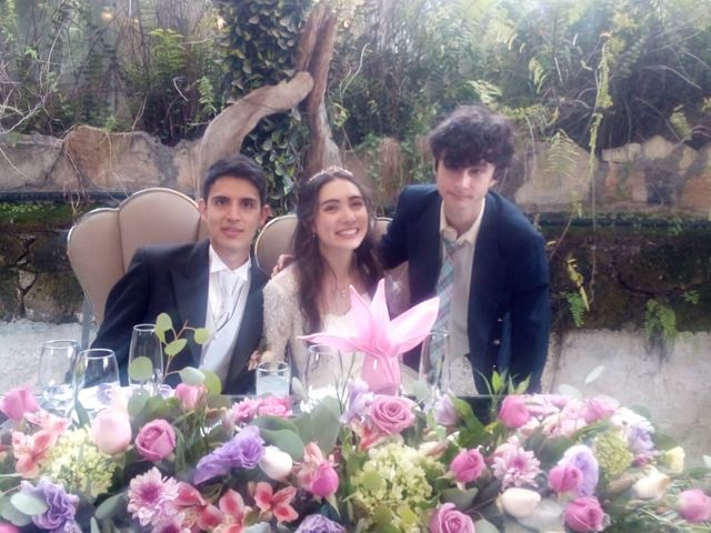 La boda de Ricardo  y Dominique  en Naucalpan, Estado México 53