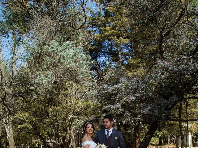 La boda de Marcos y Nallely en Omitlán de Juárez, Hidalgo 13