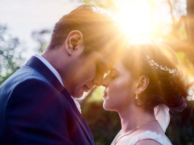 La boda de Sergio y Nancy en Querétaro, Querétaro 14