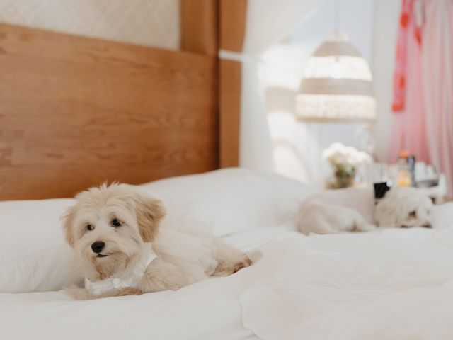 La boda de Roberto  y Ariana  en Xochitepec, Morelos 64