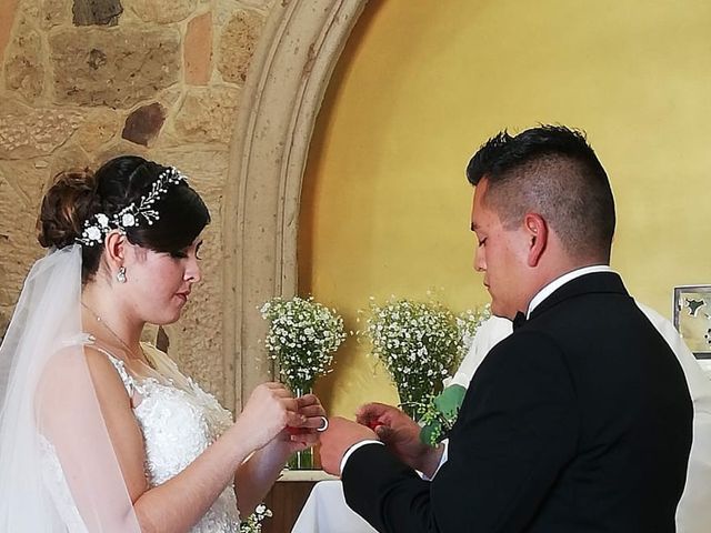 La boda de Alejandro  y Laura en Tlajomulco de Zúñiga, Jalisco 9