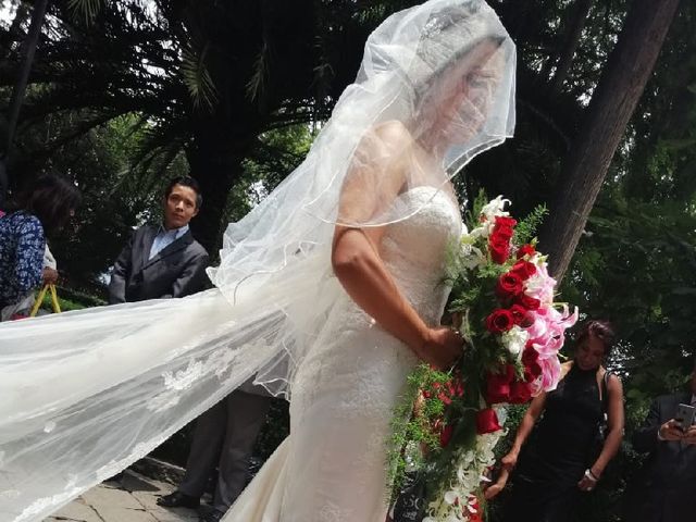 La boda de Alberto y Nayely en Xochimilco, Ciudad de México 3