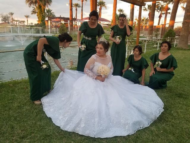 La boda de Daniel y Ilse en Mexicali, Baja California 1